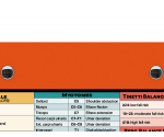 WhiteCoat Clipboard® - Orange Occupational Therapy Edition
